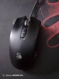 mouse for sell