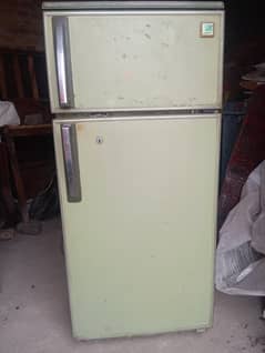 General fridge