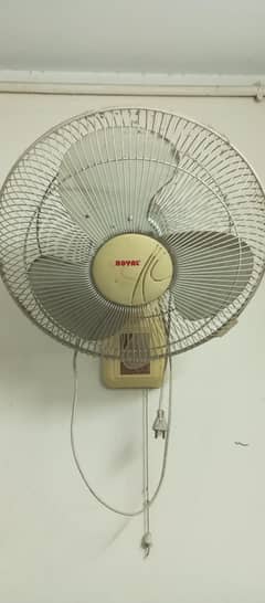 Wall