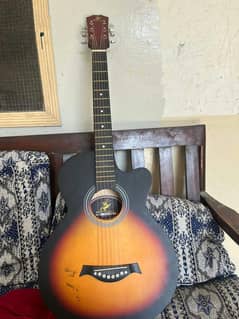 Guitar new