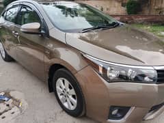 Toyota Corolla Altis 1.6 2016/2017
