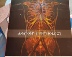 Anatomy