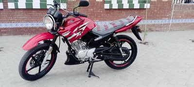 new bike