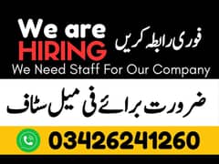 Typing job / Data Entry Job / Assignment Job / Online Job / Part Time
