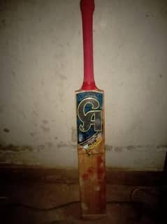 CA plus 3000 English Willow