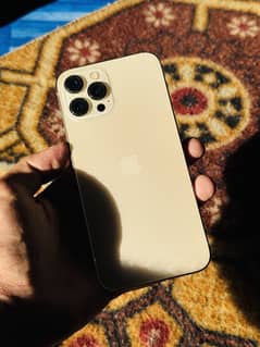 iPhone 12 Pro Max || Gold