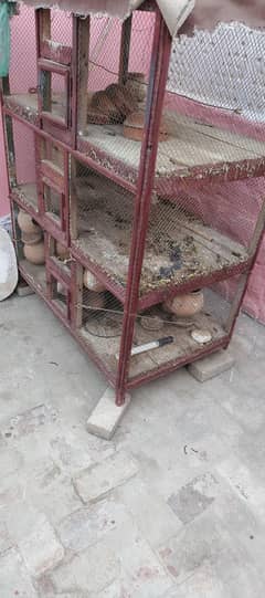 Birds And hen cage ( Darba ) for sale