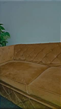 5 person new sofa