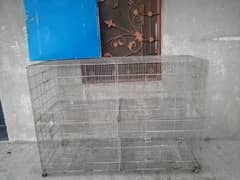 Cage for Australian, Lovebirds and Cocktails