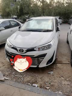 yaris