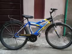 Bicycle For Sale