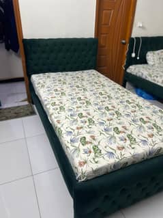 Single Beds for Sale