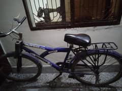 Cycle