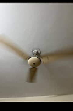 ceiling