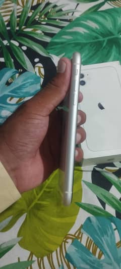 iPhone 11 PTA
