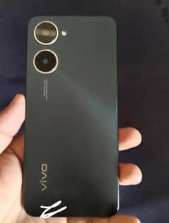 vivo