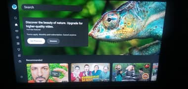 smart tv
