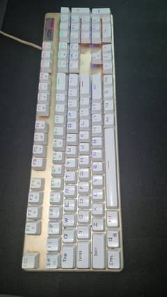 White Mechanical Keyboard