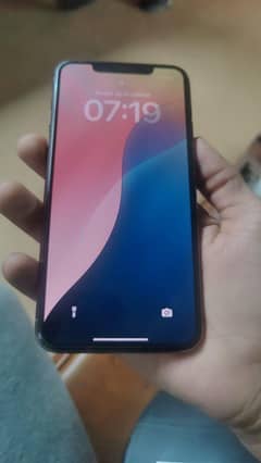 11 pro max 256 pta approved