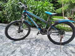Nicorobin bicycle