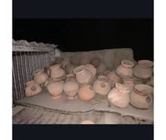 Finches handiya