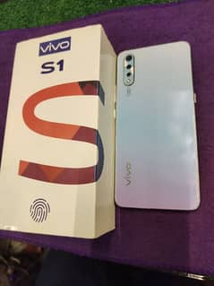 vivo