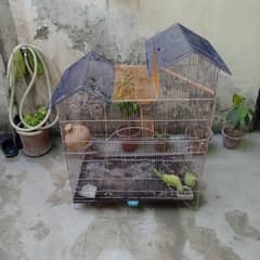 parrot cage pinjra for sale