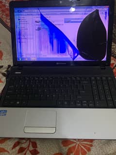 Acer