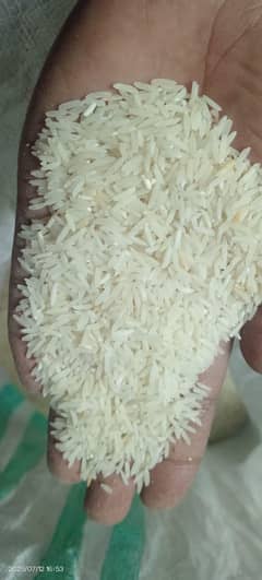 Rice