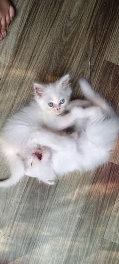 Triple