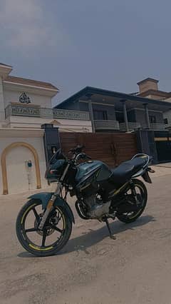 yamaha