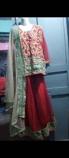 Red orgenza shiffon fancy dress