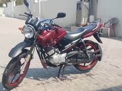 Brand New - YBR 125G