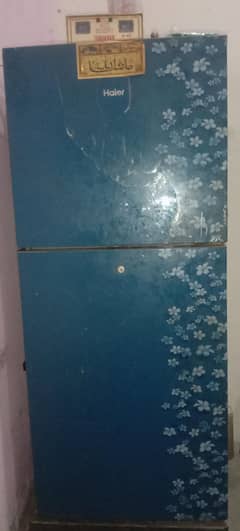 Haier friege