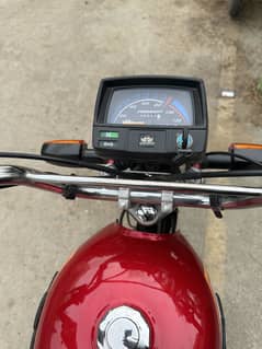 New