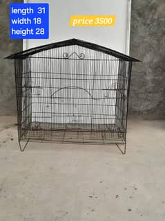 parrot cage