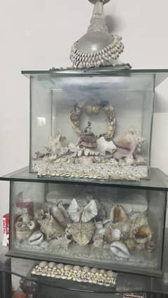 Fish Aquarium for sale