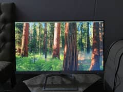 HP 24f 24-inch 75Hz Display LED