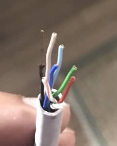 D-Link