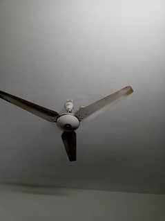 ceiling Fan (electronics)