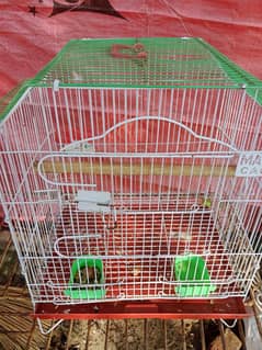 parrot cage 03404273256