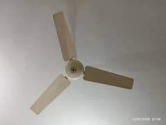 Ceiling Fan For Urgent Sale