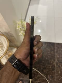 Iphone 12 pro max