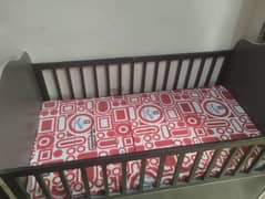 Baby kot