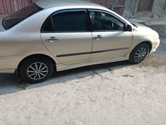 Corolla