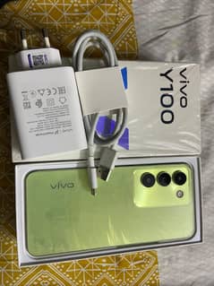 vivo y100 8+8/256gb