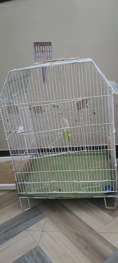 Cage