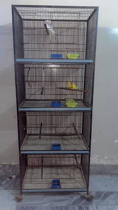 Cage for sale