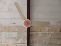 ceiling Fan