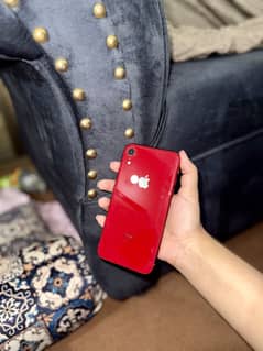 iPhone XR